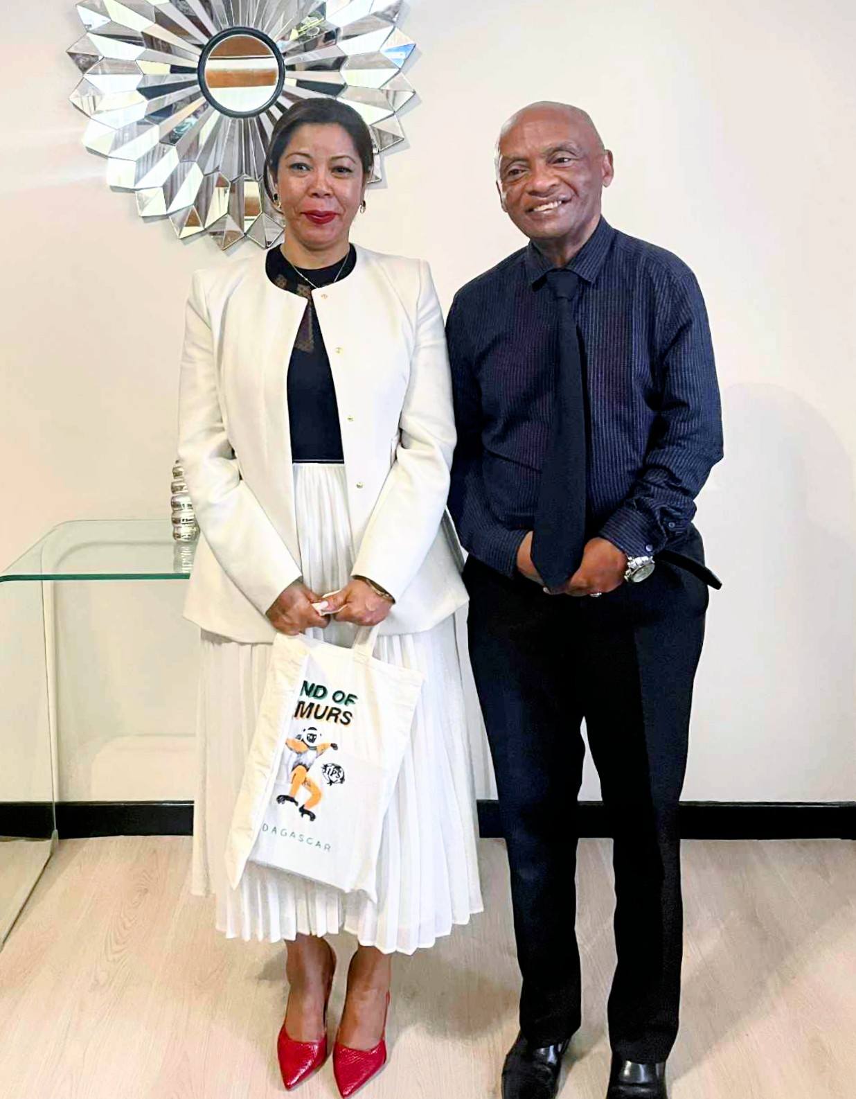 FIHAONANA NIFAMPIZARANA HEVITRA MOMBA NY ADY AMIN'NY FANONDRANANA AN-TSOKOSOKO NY FAREM-PIRENENA.